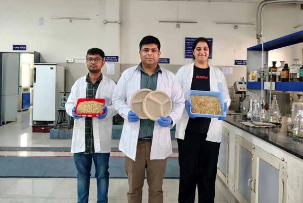 roorki iit roorkee gehun bhusa parayavarniya tableware samayhastakshar