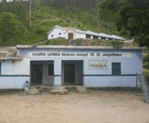 uttarakhand shiksha vikas : 25 साल में सकल नामांकन, बोर्ड रिजल्ट और उच्च शिक्षा में ऐतिहासिक सुधार—राष्ट्रीय औसत से बेहतर!